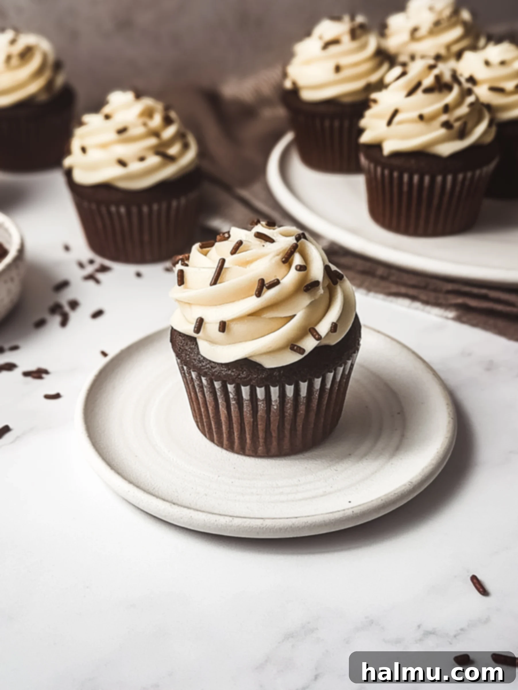 Rich Chocolate Cupcakes with Tangy Cream Cheese Frosting 2 Delicious chocolate cupcakes with generous swirls of cream cheese frosting and chocolate sprinkles