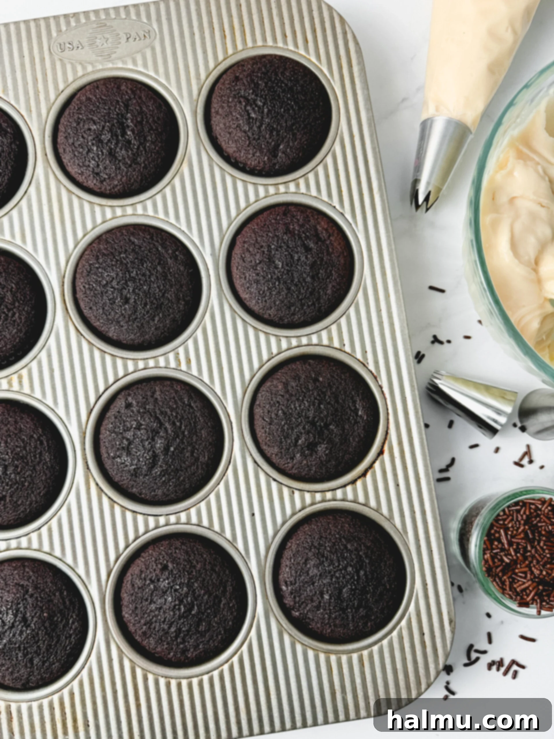 Rich Chocolate Cupcakes with Tangy Cream Cheese Frosting 5 Two frosted chocolate cupcakes with cream cheese frosting, one with chocolate sprinkles