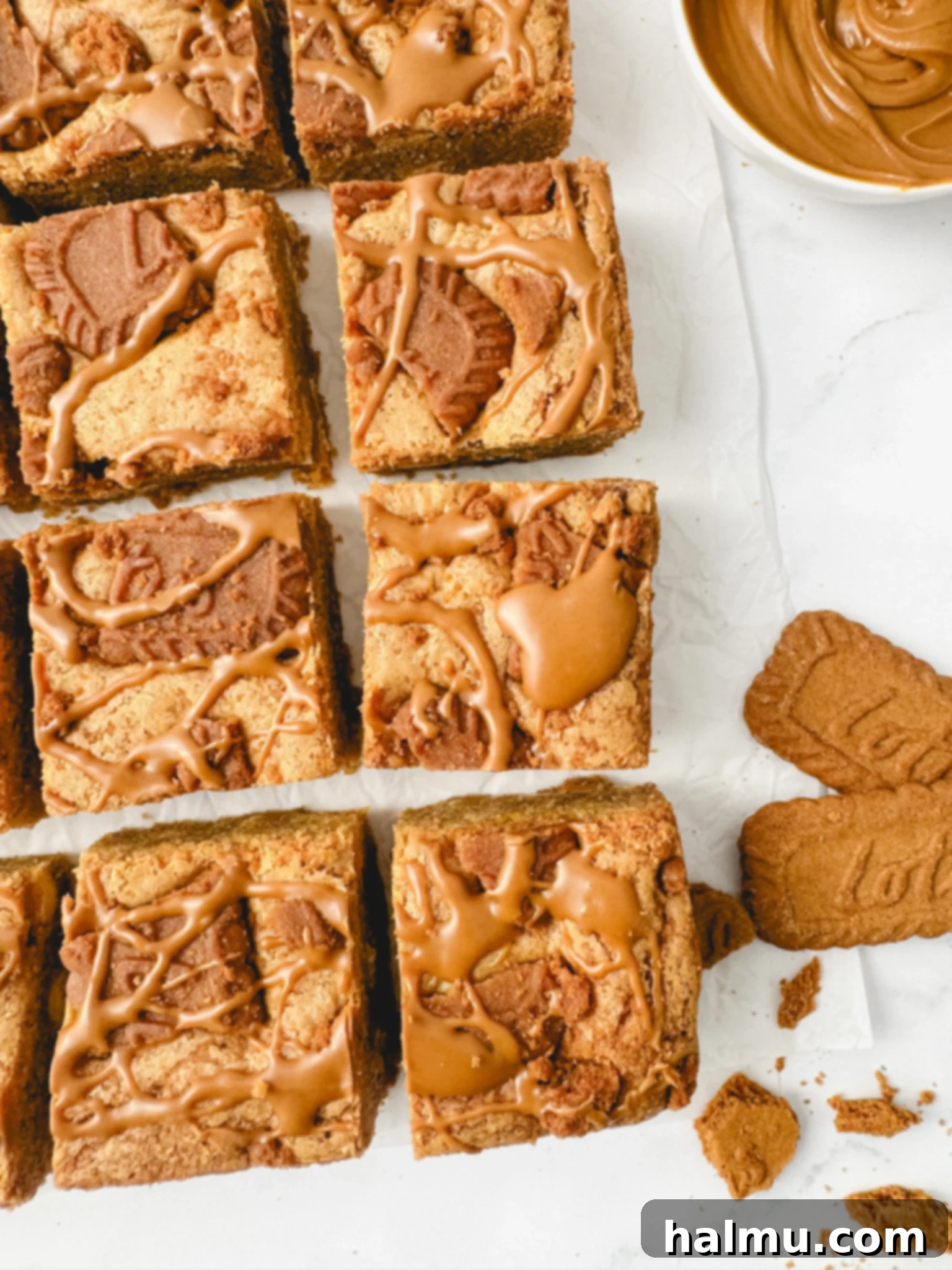 Speculoos Blondies 9 Variety of blondie recipes, including Biscoff Blondies.