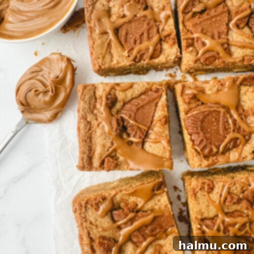 Speculoos Blondies 10 A close-up of a Biscoff Blondie square with a bite taken out, showing its chewy interior.