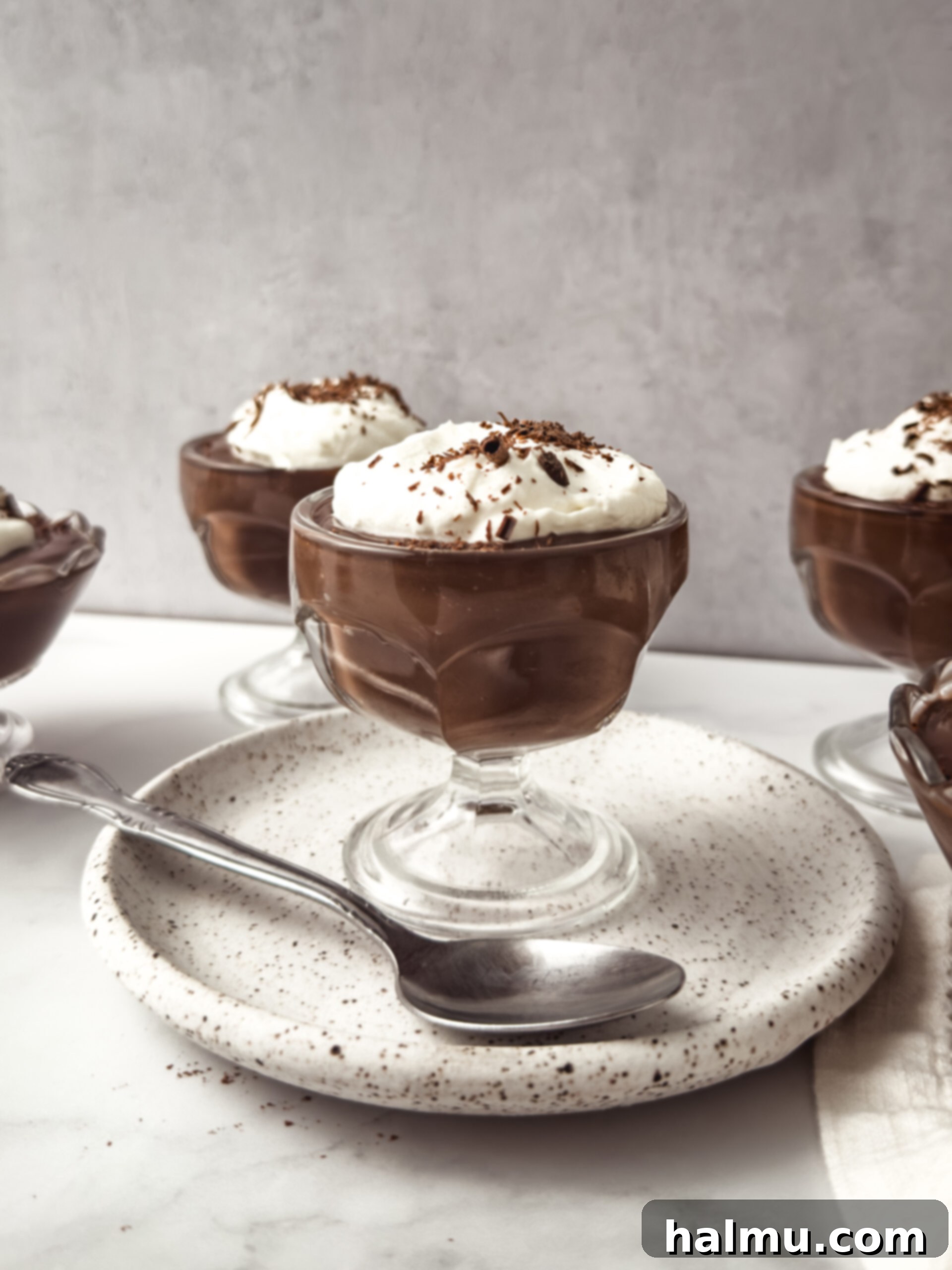 A beautifully presented serving of homemade chocolate pudding topped with whipped cream, ready to eat.