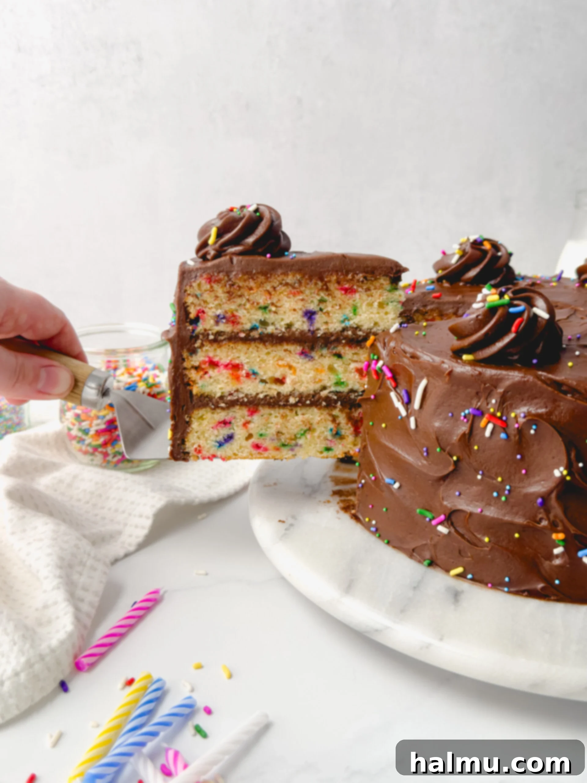 Three-layer Confetti Birthday Cake with Chocolate Cream Cheese Frosting