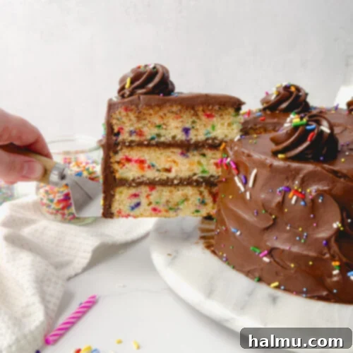 Confetti Birthday Cake with Chocolate Cream Cheese Frosting ready to be served