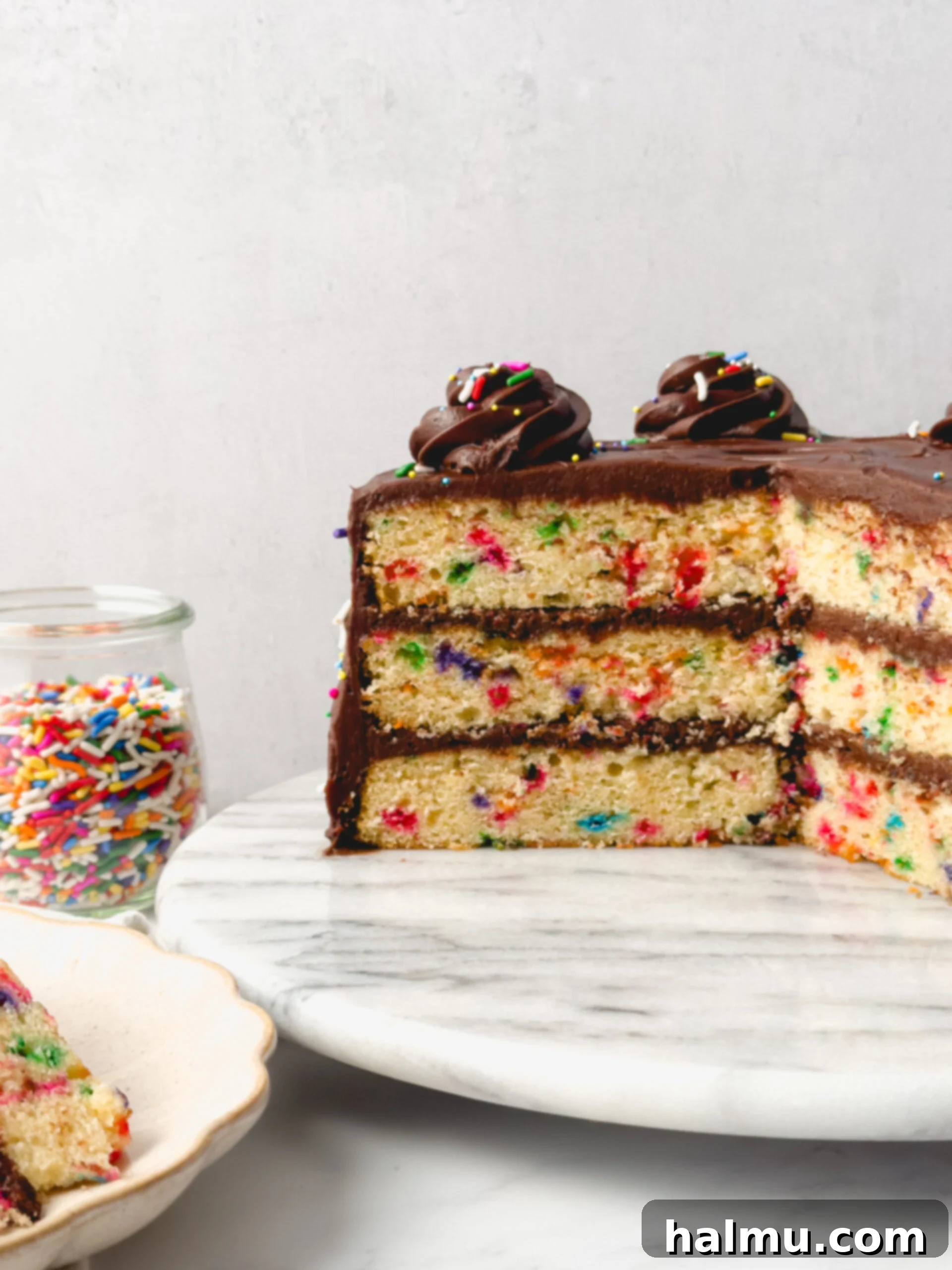 Close-up of a slice of Confetti Birthday Cake showing colorful sprinkles within the cake layers and smooth chocolate frosting