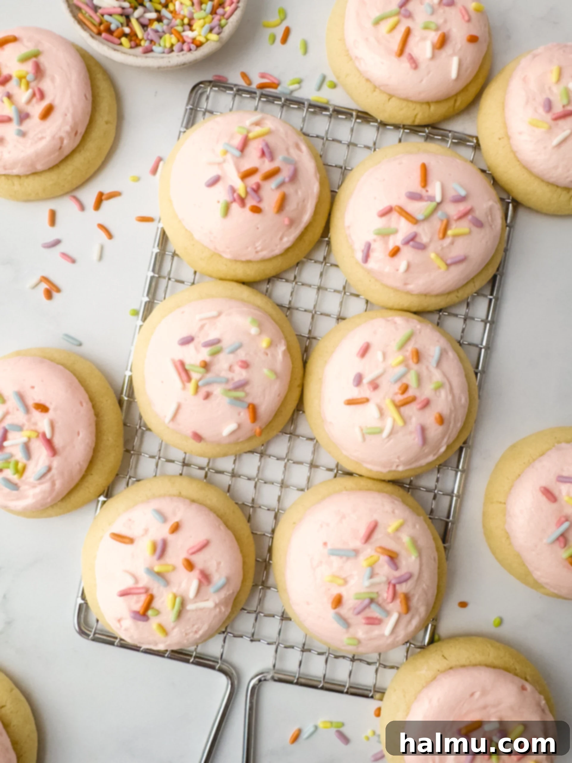 A plate of mini frosted sugar cookies topped with colorful sprinkles.