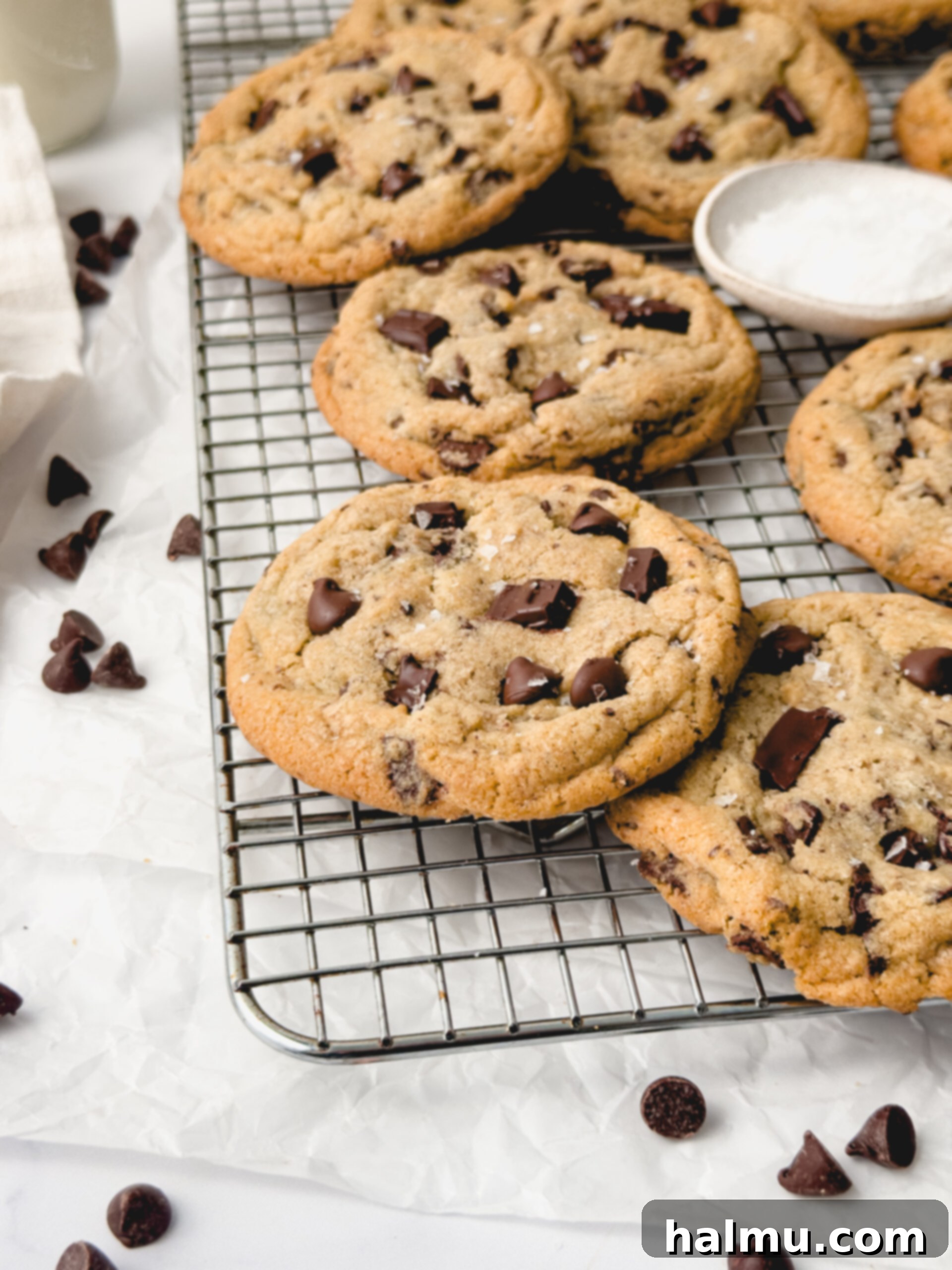 A plate of golden brown bakery-style chocolate chip cookies.