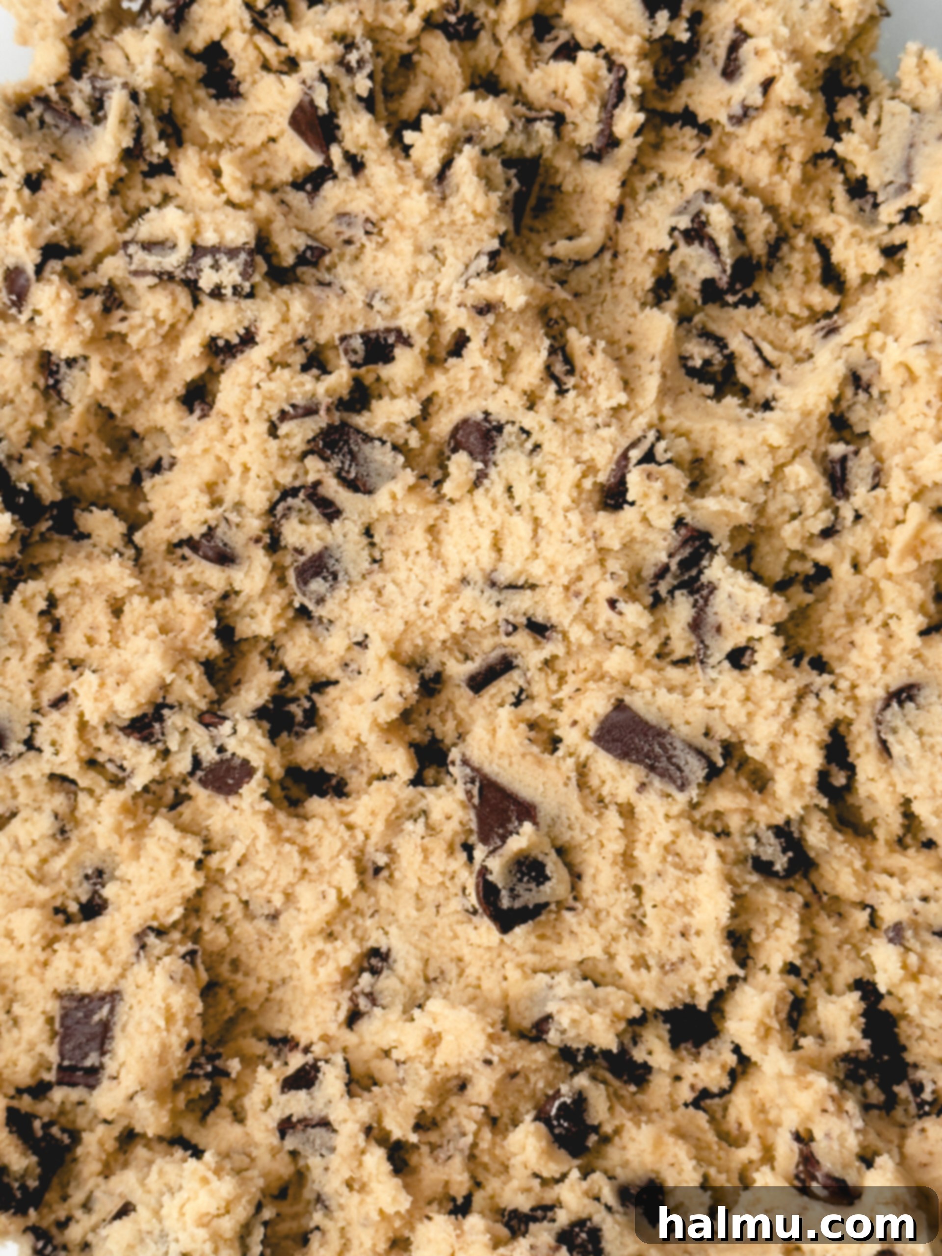 A plate of assorted delicious cookies.