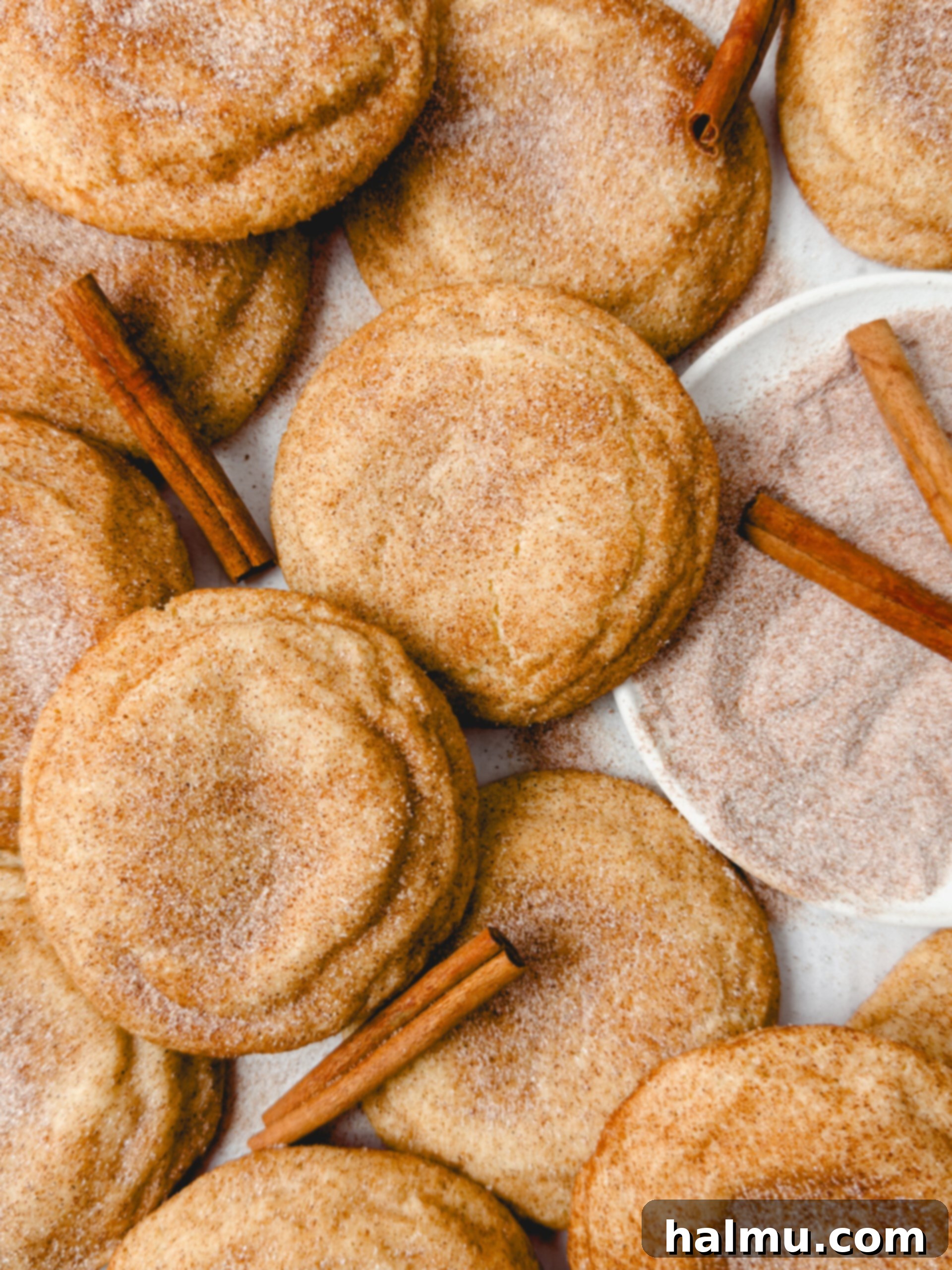 The Ultimate Soft & Chewy Snickerdoodles 2 Freshly baked Soft and Chewy Snickerdoodle Cookies on a cooling rack.