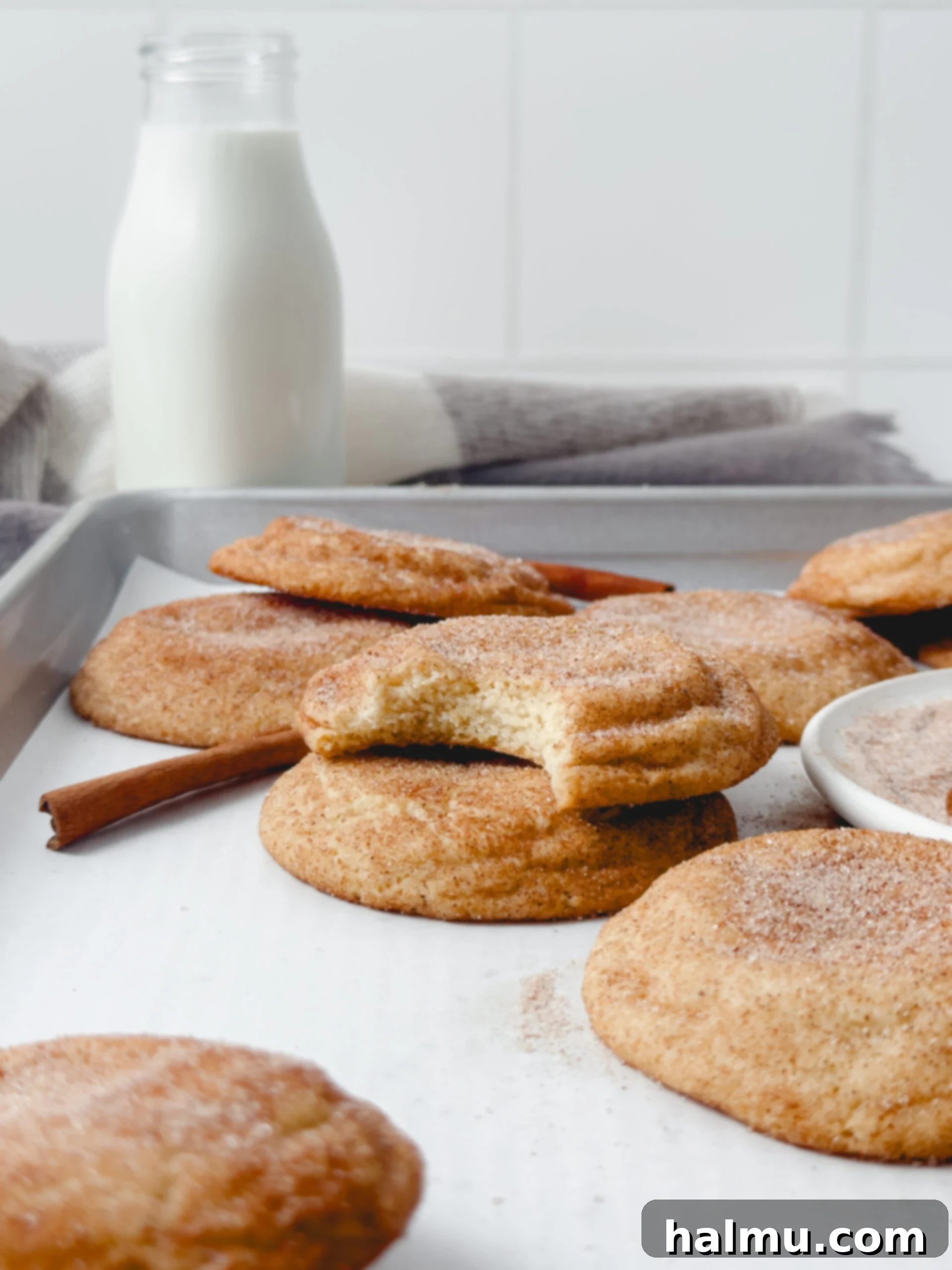 The Ultimate Soft & Chewy Snickerdoodles 8 Various snickerdoodle cookies with visible cinnamon sugar coating.