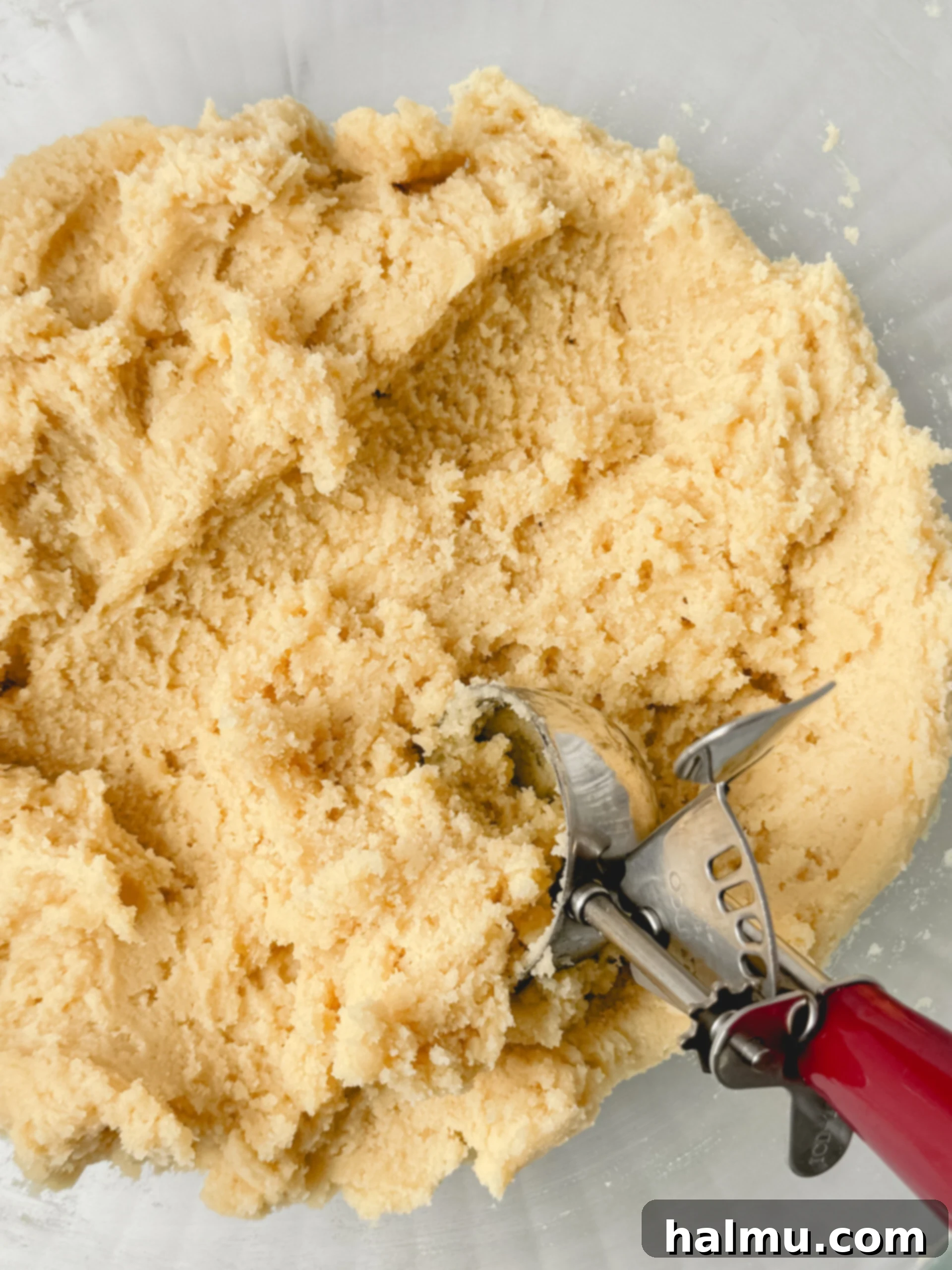 The Ultimate Soft & Chewy Snickerdoodles 3 Mixing cookie dough in a stand mixer.