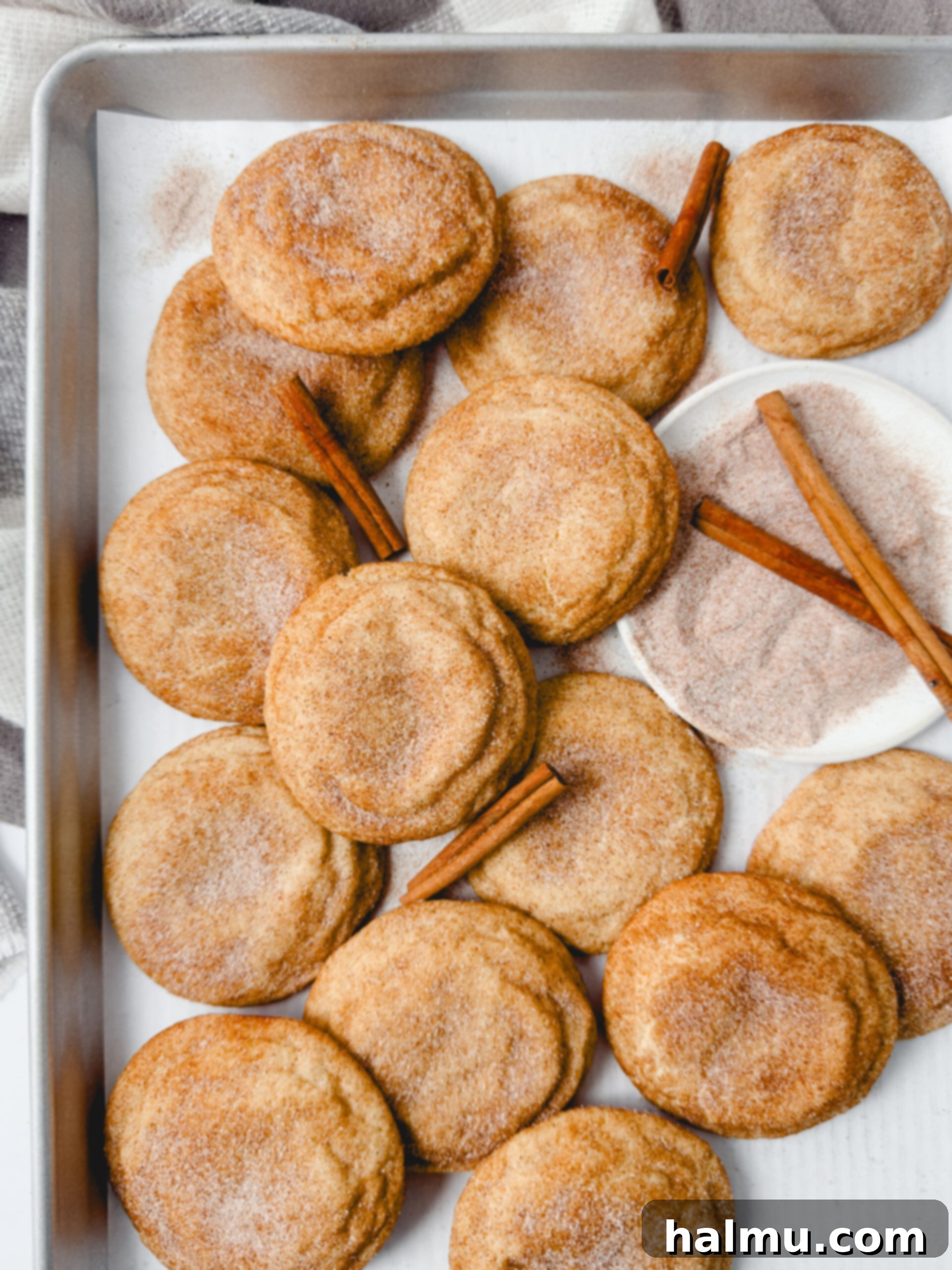 The Ultimate Soft & Chewy Snickerdoodles 5 Close-up of baked Snickerdoodle Cookies cooling on a wire rack.