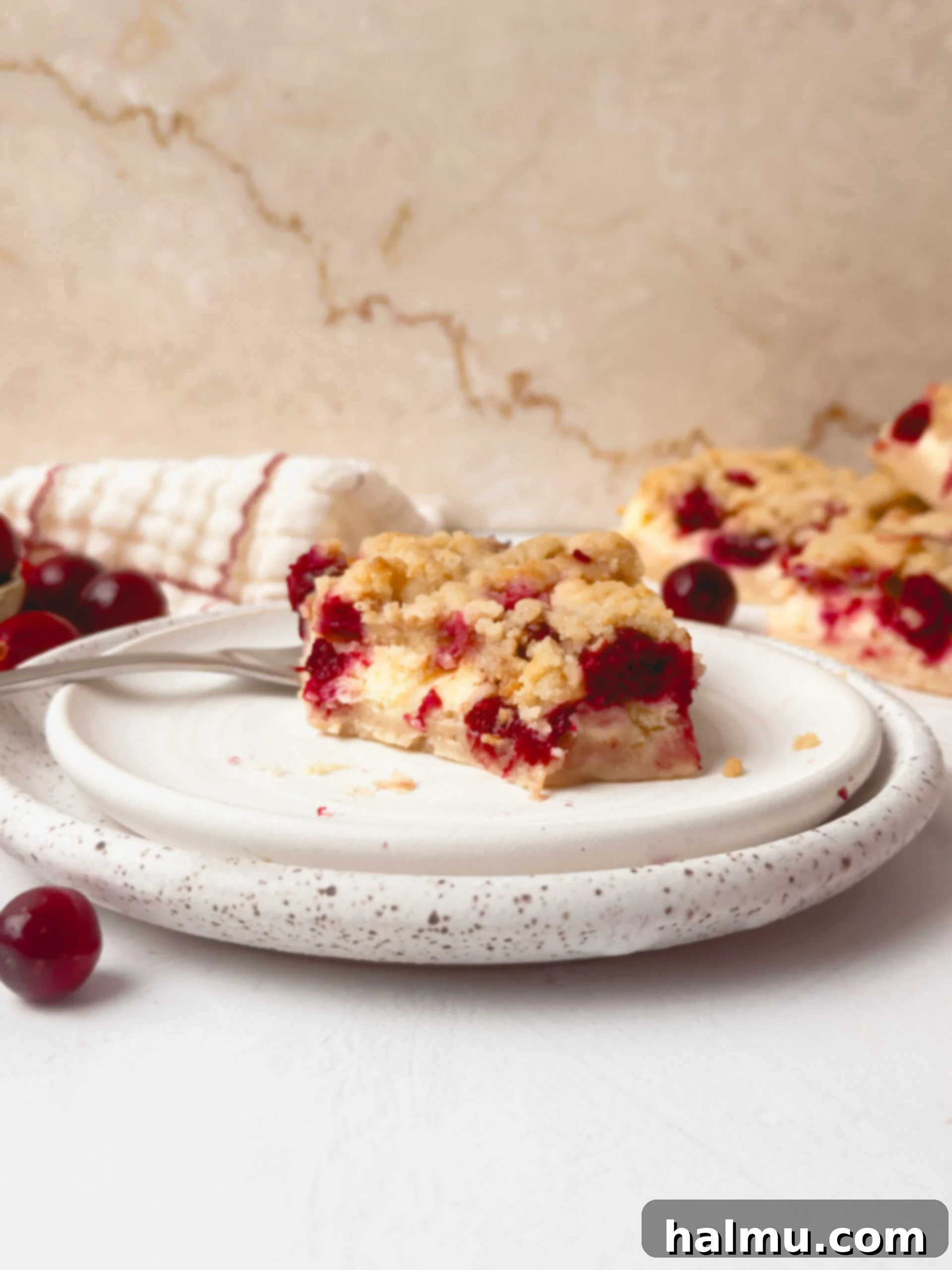 Close-up of cranberry cheesecake bars showing the layers of shortbread, cheesecake, and cranberries.