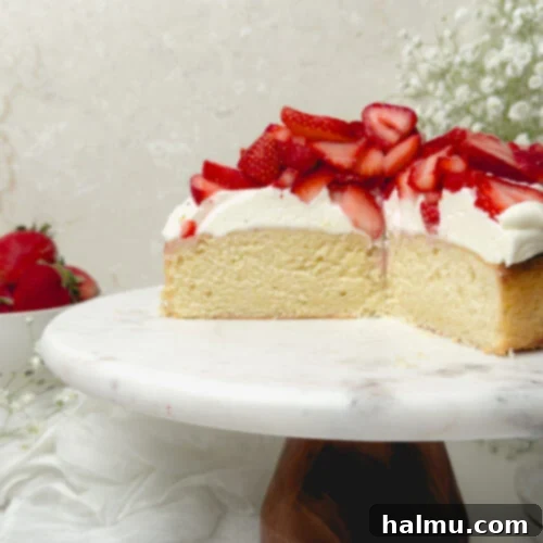 Velvet Strawberry Cream Indulgence 9 Strawberry Cream Cake