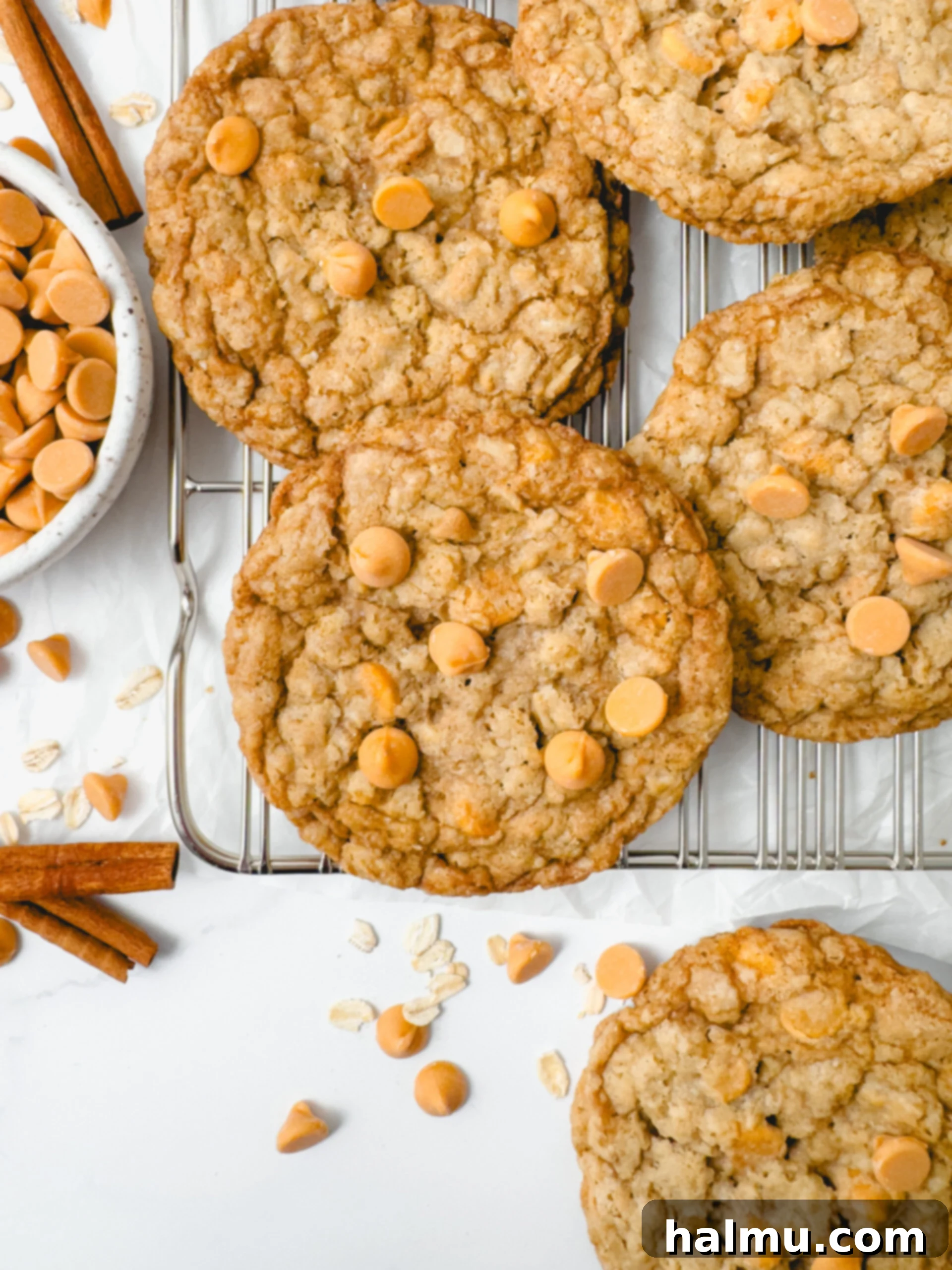 Chewy Butterscotch Oatmeal Cookies 2 Soft and chewy Butterscotch Oatmeal Cookies on a cooling rack