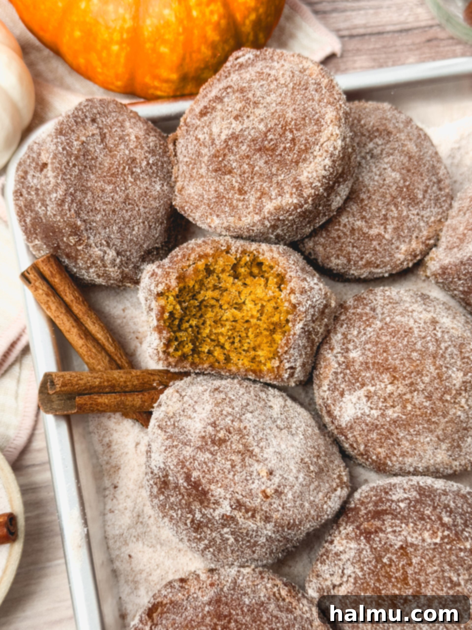 Pumpkin Spice Donut Muffins 2 A plate of Pumpkin Donut Muffins, perfectly coated in cinnamon sugar.