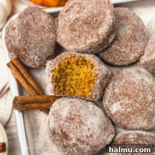 Pumpkin Spice Donut Muffins 10 Pumpkin Donut Muffins with cinnamon sugar