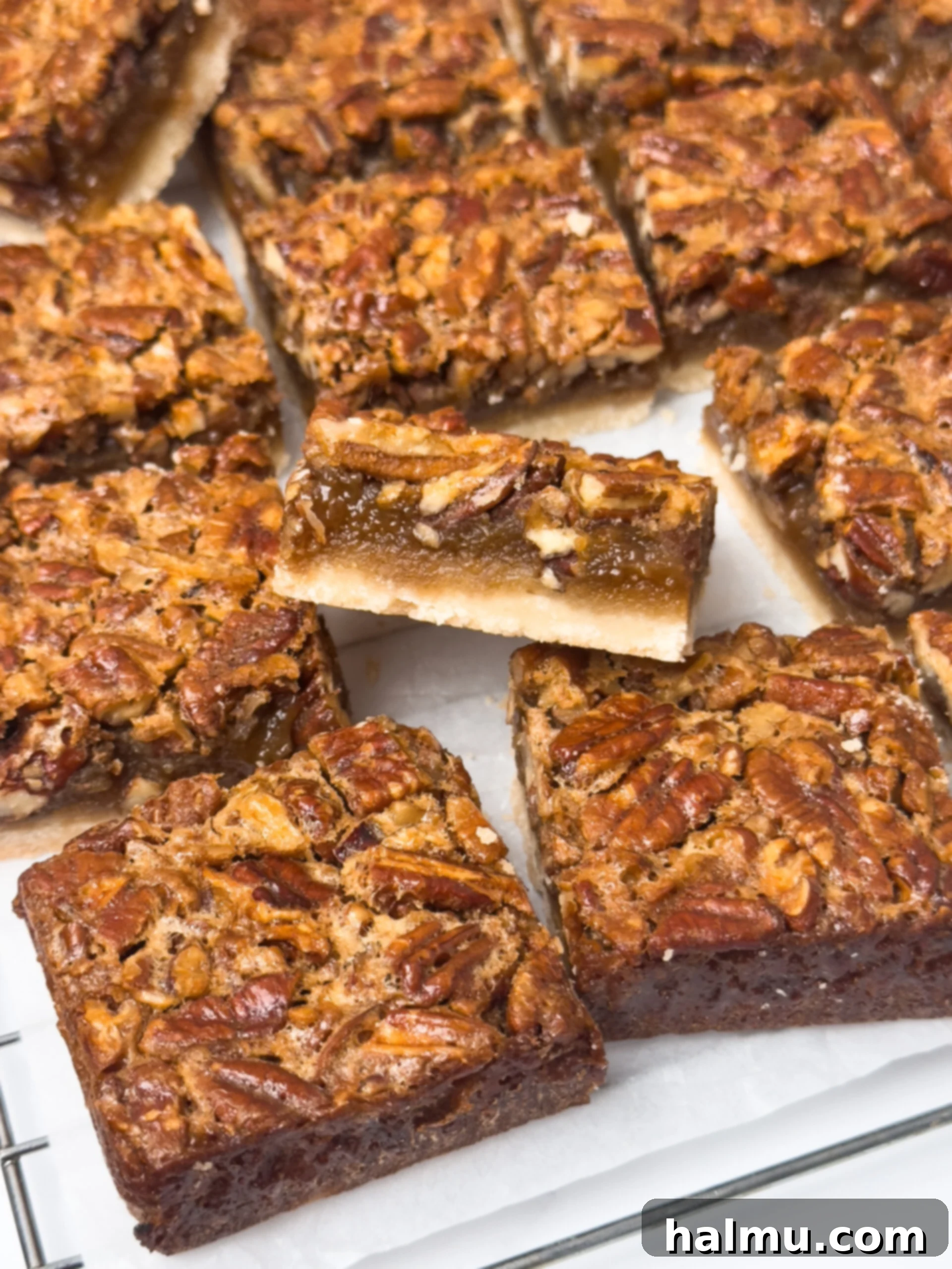 Delicious Pecan Pie Bars with a shortbread crust, garnished with extra pecans.