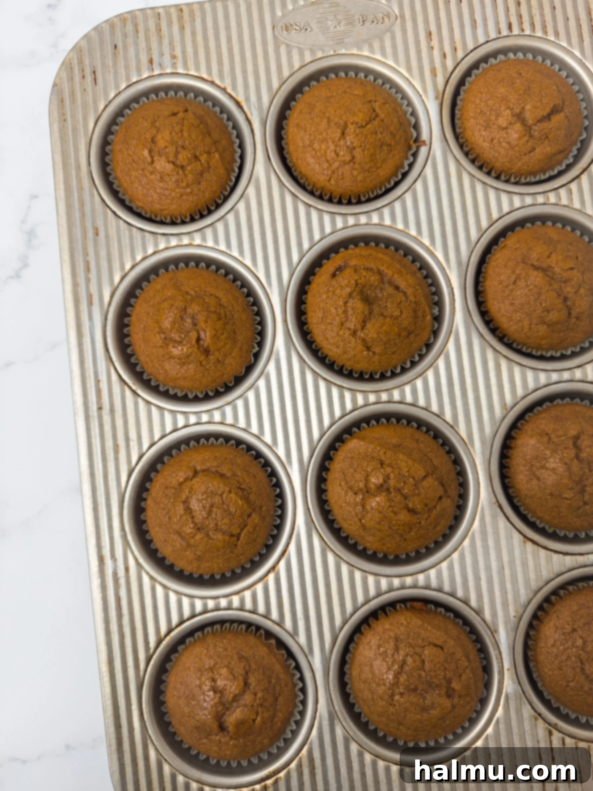 Pumpkin Cupcakes with Cream Cheese Swirl 6 Baked Pumpkin Cupcakes in Muffin Tin