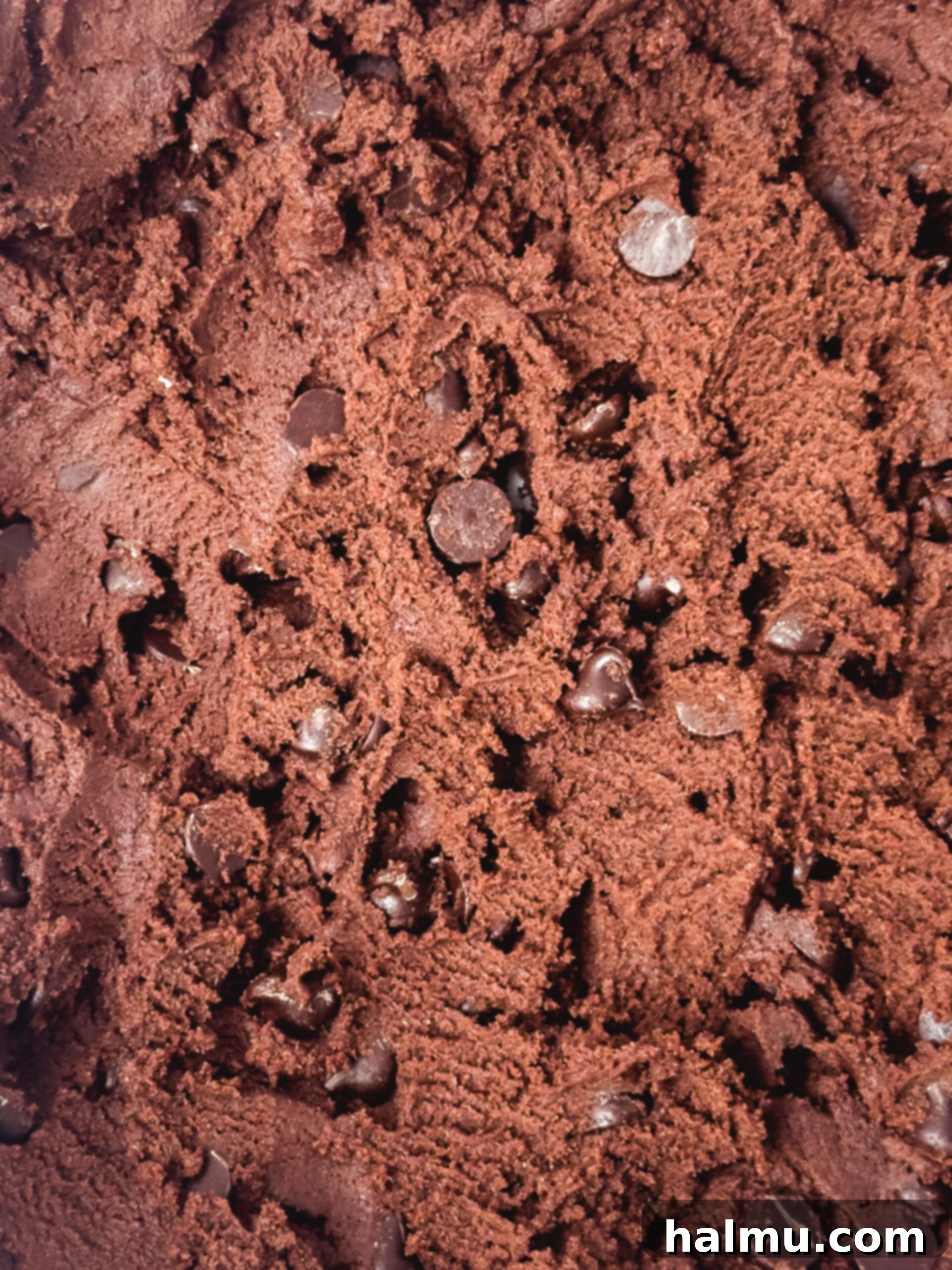 Making Chocolate Cookie Dough